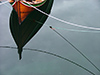 brynhild bye-tiller